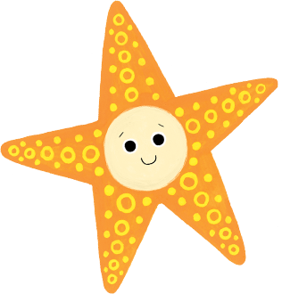 Star Fish Image